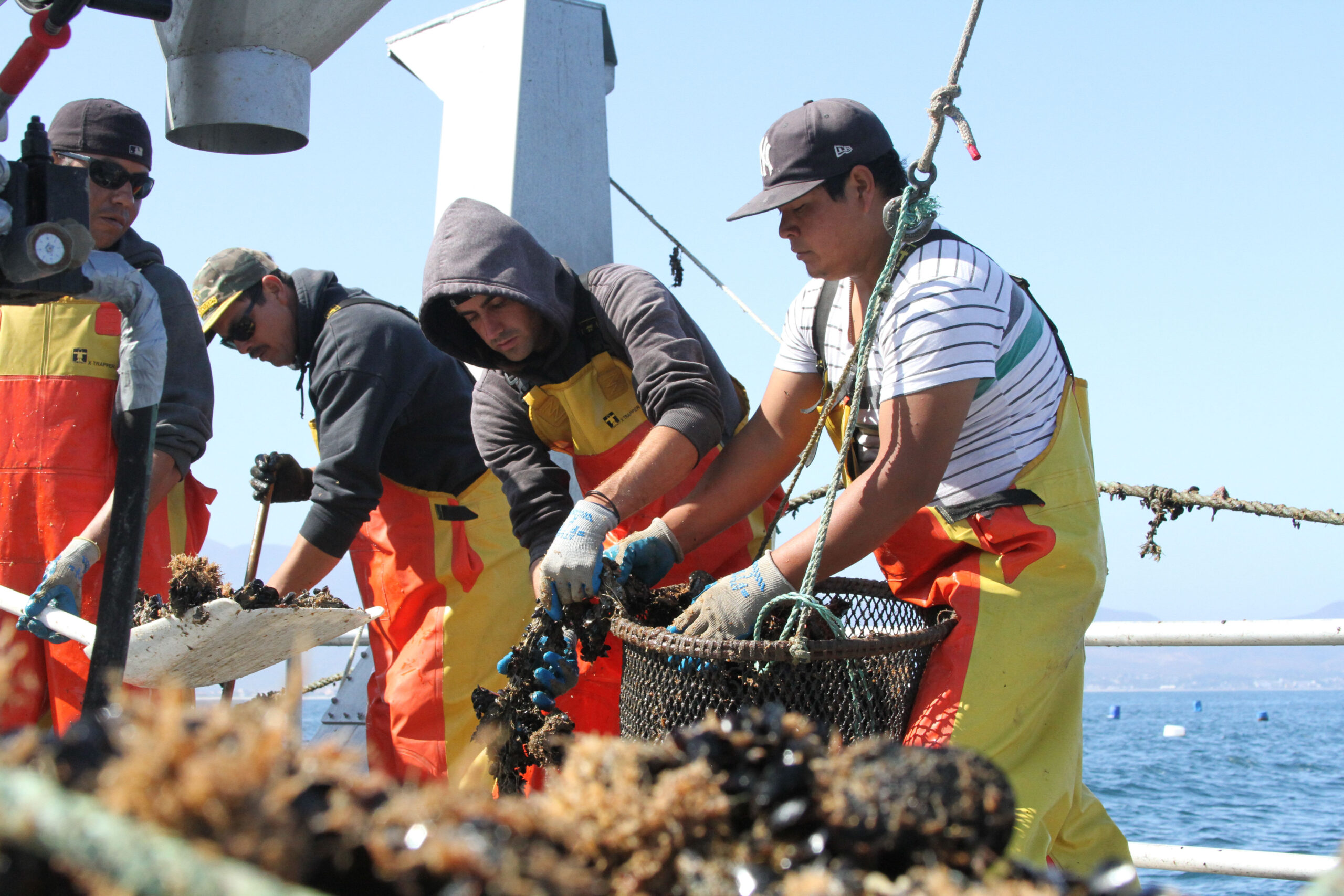 REALIZA CONAPESCA BALANCE DE APOYOS A PEQUEÑOS Y MEDIANOS PRODUCTORES Y REFRENDA COMPROMISO CON LA ACUACULTURA Y PESCA SUSTENTABLES EN 2025