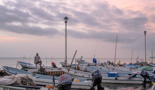 PROMUEVE AGRICULTURA CONSERVACIÓN DE ESPECIES MARINAS CON ZONA DE REFUGIO PESQUERO EN YUCATÁN