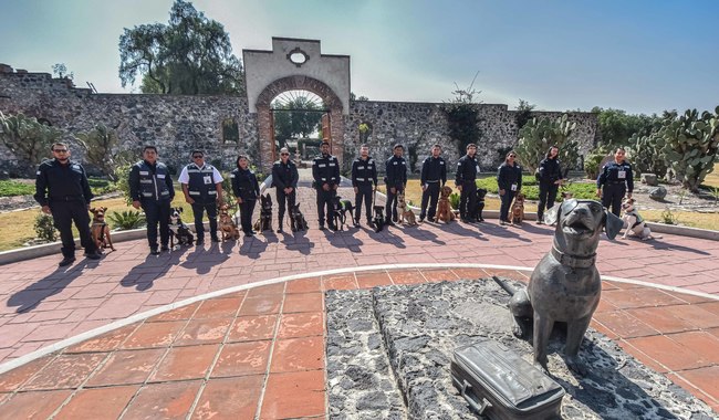 INCORPORA AGRICULTURA A 13 NUEVOS BINOMIOS CANINOS PARA PREVENIR ENTRADA DE PLAGAS Y ENFERMEDADES A MÉXICO