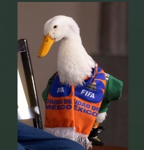 Palabras Más / El Pato y las Buscadoras