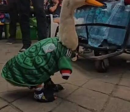Homenajea FIFA al Pato Merlín y lo Nombra Embajador del Fan Fest en el Zócalo