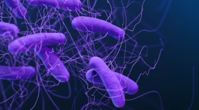 OMS advierte que contaminación alimentaria causa 1.5 millones de muertes globales cada año