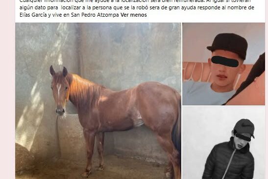En Tecámac se Roban Desde una Yegua y Hasta la “Casita de los Duendes” de Sierra Hermosa en una semana